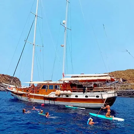 Donnamarisa Botel *